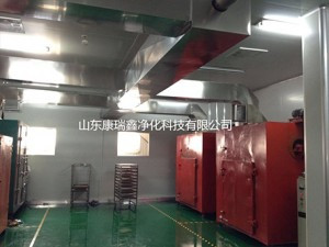 高分子精细化工车间净化工程
